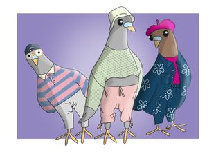 pigeon squad